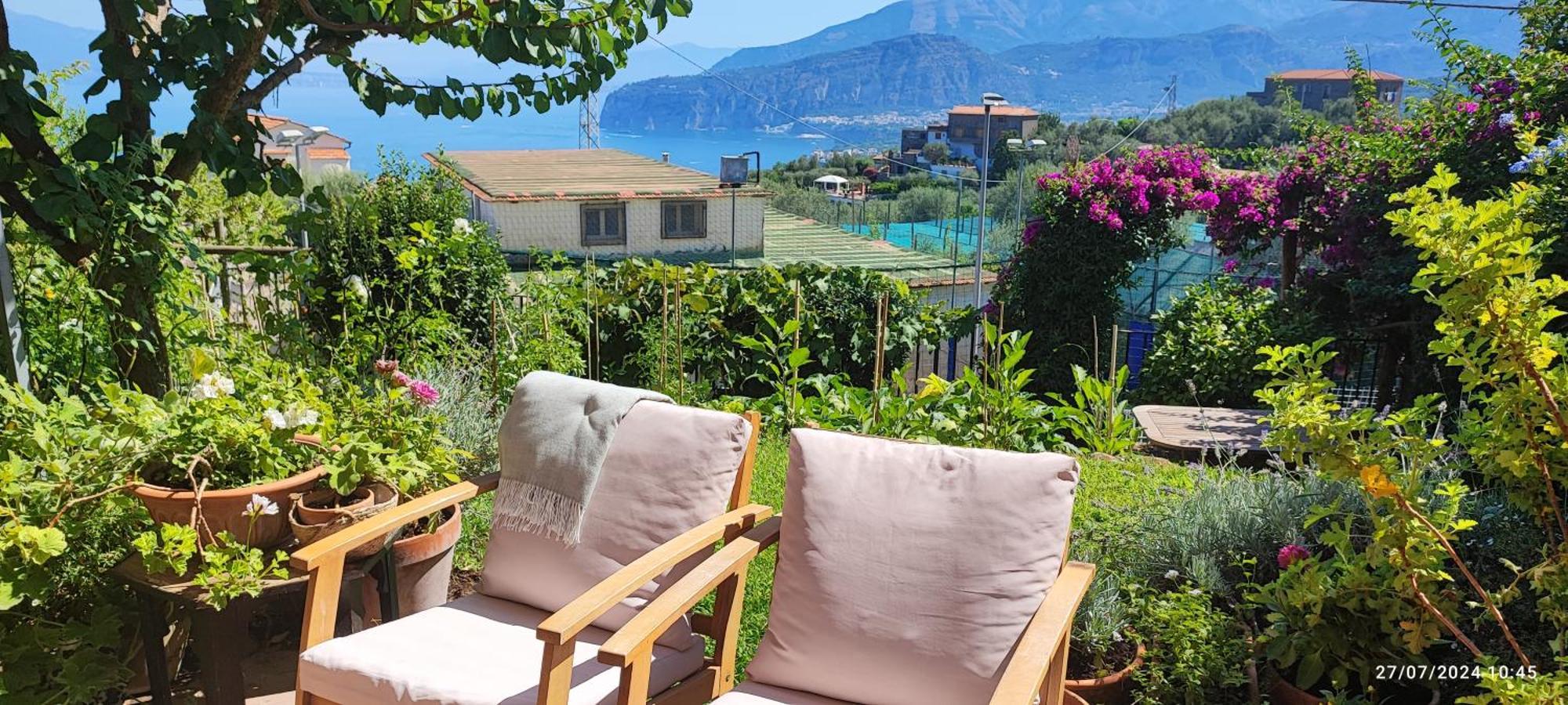 Lally'S Garden Bed and Breakfast Península Sorrentina Exterior foto